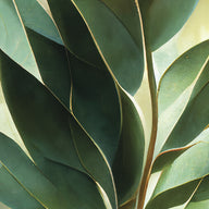 Close-up of a fragrant herbal plant sprig.