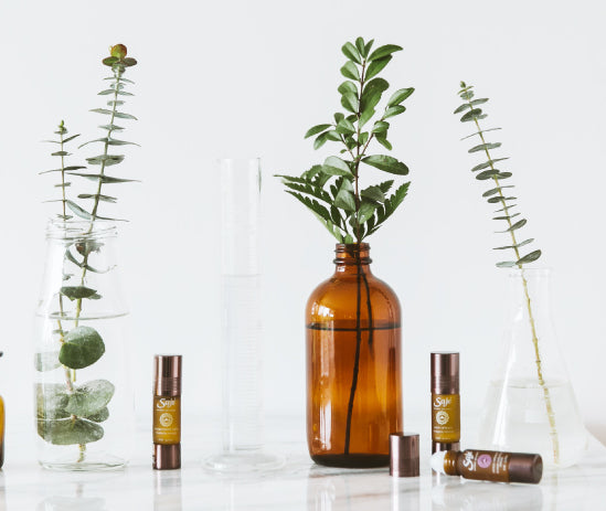 Three Saje roll-ons next to jars of eucalyptus