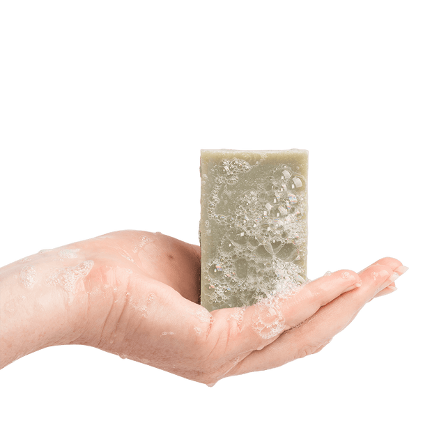 A person holding Parisian Garden cleansing Soap Bar